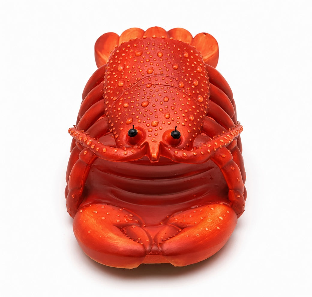Soft Non-Slip "Lobster Sliders"